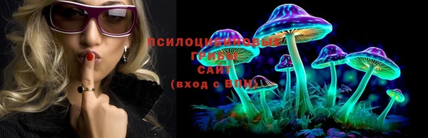 2c-b Бородино