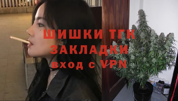 2c-b Бородино