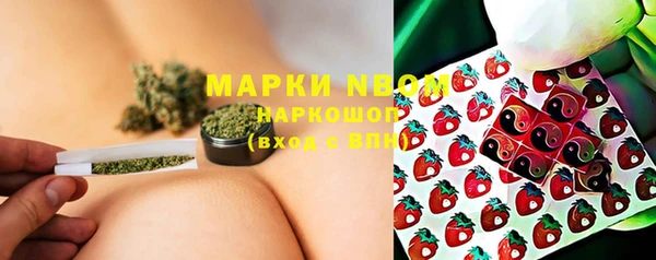 2c-b Бородино