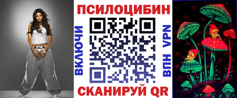 Галлюциногенные грибы Psilocybine cubensis  Барнаул 
